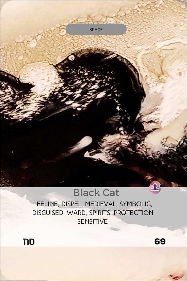 Black Cat card