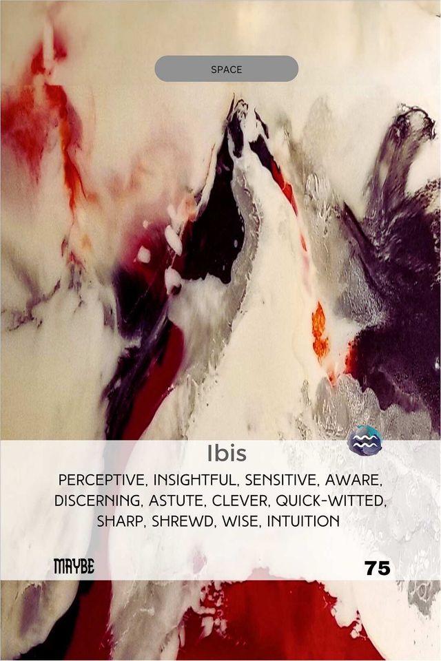 Ibis card